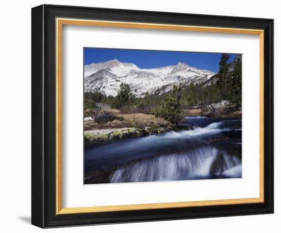 California, Sierra Nevada Mts, Inyo Nf, a Creek in the High Sierra-Christopher Talbot Frank-Framed Photographic Print