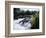 California, Sierra Nevada Mts, Inyo Nf, Flowers Along the Owens River-Christopher Talbot Frank-Framed Photographic Print