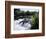 California, Sierra Nevada Mts, Inyo Nf, Flowers Along the Owens River-Christopher Talbot Frank-Framed Photographic Print