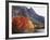 California, Sierra Nevada, Red Color Aspens Along Grant Lake, Inyo Nf-Christopher Talbot Frank-Framed Photographic Print