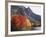 California, Sierra Nevada, Red Color Aspens Along Grant Lake, Inyo Nf-Christopher Talbot Frank-Framed Photographic Print