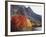 California, Sierra Nevada, Red Color Aspens Along Grant Lake, Inyo Nf-Christopher Talbot Frank-Framed Photographic Print