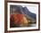 California, Sierra Nevada, Red Color Aspens Along Grant Lake, Inyo Nf-Christopher Talbot Frank-Framed Photographic Print