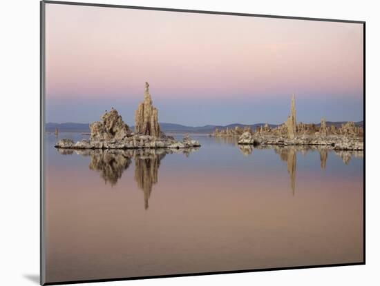 California, Sierra Nevada, Tufa Formations at Mono Lake at Sunrise-Christopher Talbot Frank-Mounted Photographic Print