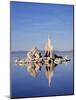 California, Sierra Nevada, Tufa Formations Reflecting in Mono Lake-Christopher Talbot Frank-Mounted Photographic Print