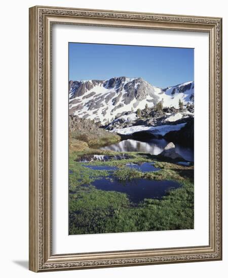 California, Sierra Nevada, Twenty Lakes Basin, a Tarn in a Meadow-Christopher Talbot Frank-Framed Photographic Print