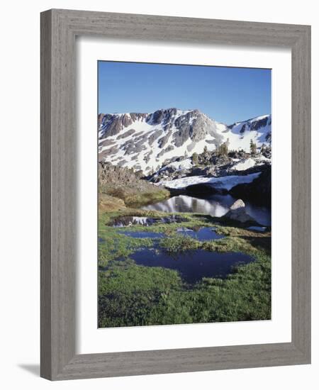 California, Sierra Nevada, Twenty Lakes Basin, a Tarn in a Meadow-Christopher Talbot Frank-Framed Photographic Print