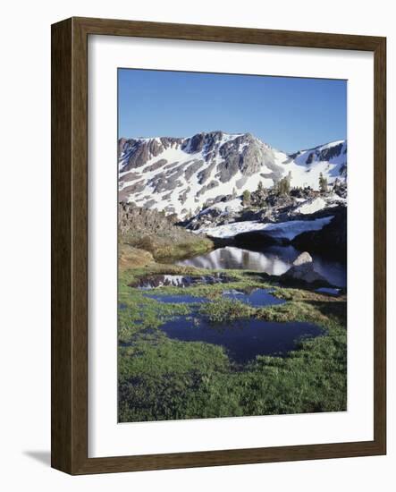 California, Sierra Nevada, Twenty Lakes Basin, a Tarn in a Meadow-Christopher Talbot Frank-Framed Photographic Print