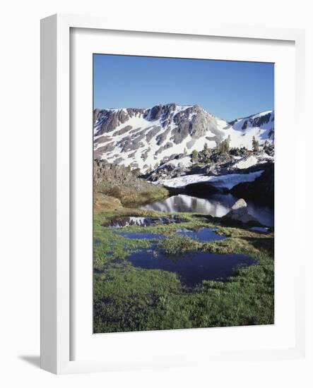 California, Sierra Nevada, Twenty Lakes Basin, a Tarn in a Meadow-Christopher Talbot Frank-Framed Photographic Print