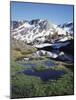 California, Sierra Nevada, Twenty Lakes Basin, a Tarn in a Meadow-Christopher Talbot Frank-Mounted Photographic Print