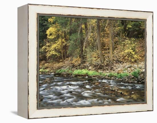 California, Sierra Nevada, Yosemite National Park, Autumn Along the Merced River-Christopher Talbot Frank-Framed Premier Image Canvas