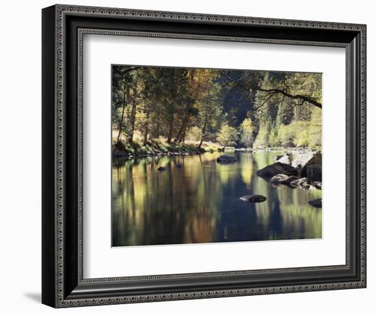 California, Sierra Nevada, Yosemite National Park, Autumn Along the Merced River-Christopher Talbot Frank-Framed Photographic Print