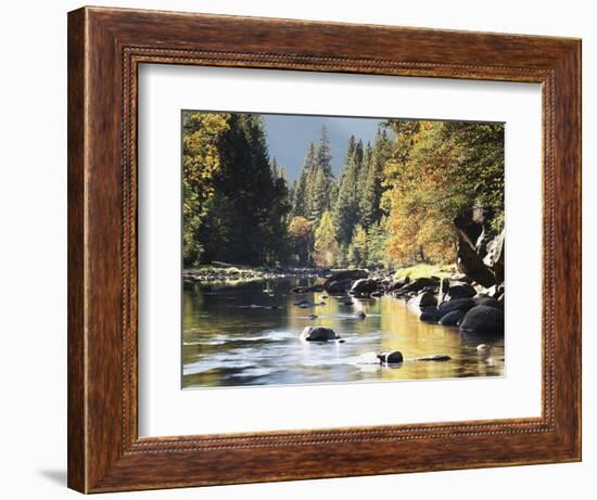 California, Sierra Nevada, Yosemite National Park, Autumn Along the Merced River-Christopher Talbot Frank-Framed Photographic Print