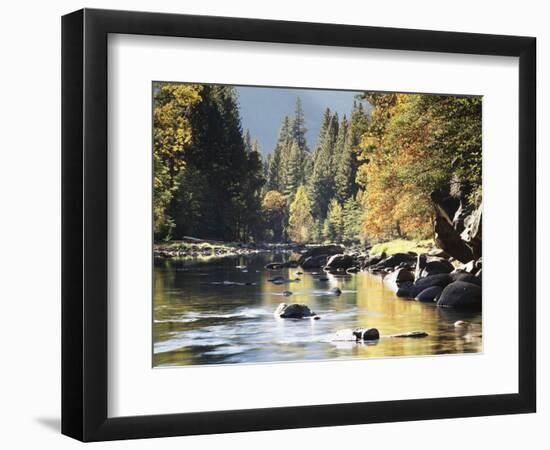 California, Sierra Nevada, Yosemite National Park, Autumn Along the Merced River-Christopher Talbot Frank-Framed Photographic Print