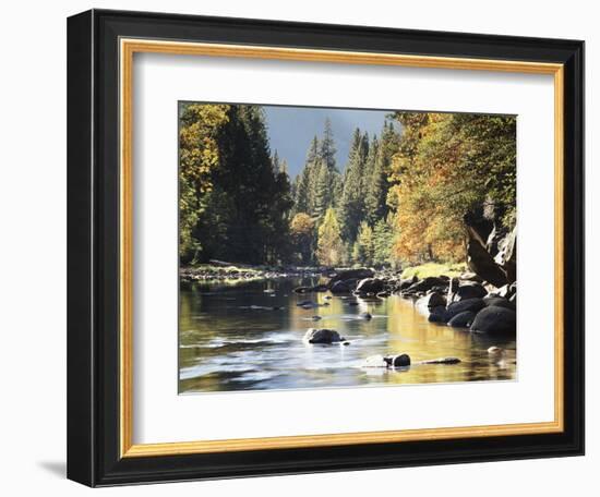 California, Sierra Nevada, Yosemite National Park, Autumn Along the Merced River-Christopher Talbot Frank-Framed Photographic Print