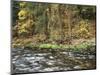 California, Sierra Nevada, Yosemite National Park, Autumn Along the Merced River-Christopher Talbot Frank-Mounted Photographic Print