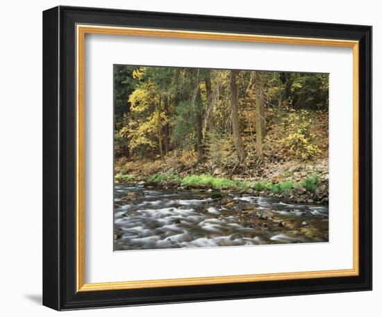 California, Sierra Nevada, Yosemite National Park, Autumn Along the Merced River-Christopher Talbot Frank-Framed Photographic Print