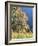 California, Sierra Nevada, Yosemite National Park, Cattails and Black Oak-Christopher Talbot Frank-Framed Photographic Print