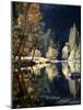 California, Sierra Nevada, Yosemite National Park, Fall Along the Merced River-Christopher Talbot Frank-Mounted Photographic Print