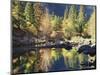 California, Sierra Nevada, Yosemite National Park, Fall Along the Merced River-Christopher Talbot Frank-Mounted Photographic Print