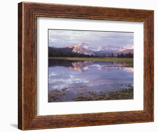 California, Sierra Nevada, Yosemite National Park, Lembert Dome on Tuolumne River-Christopher Talbot Frank-Framed Photographic Print