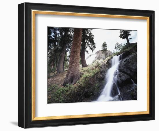 California, Sierra Nevada, Yosemite National Park, Waterfall from the Forest-Christopher Talbot Frank-Framed Photographic Print