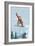 California - Snowboarder Jumping-Lantern Press-Framed Art Print