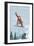 California - Snowboarder Jumping-Lantern Press-Framed Art Print