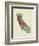 California State Map-Lanre Adefioye-Framed Giclee Print