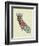 California State Map-Lanre Adefioye-Framed Giclee Print