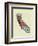 California State Map-Lanre Adefioye-Framed Giclee Print