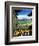 California - The Golden West-null-Framed Giclee Print