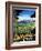 California - The Golden West-null-Framed Giclee Print