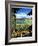 California - The Golden West-null-Framed Giclee Print