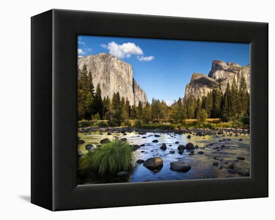 California, the Merced River, El Capitan, and Cathedral Rocks in Yosemite Valley-Ann Collins-Framed Premier Image Canvas