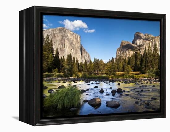 California, the Merced River, El Capitan, and Cathedral Rocks in Yosemite Valley-Ann Collins-Framed Premier Image Canvas