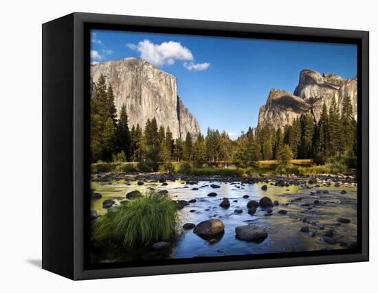 California, the Merced River, El Capitan, and Cathedral Rocks in Yosemite Valley-Ann Collins-Framed Premier Image Canvas