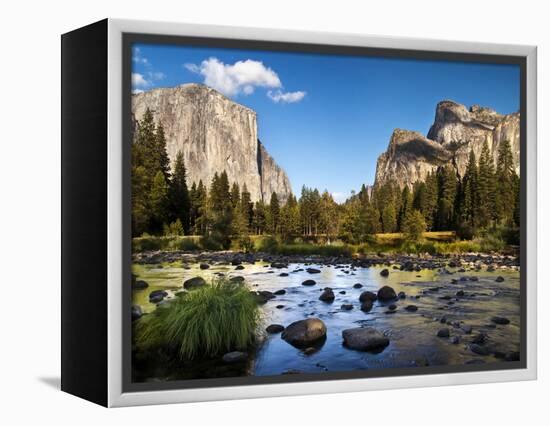 California, the Merced River, El Capitan, and Cathedral Rocks in Yosemite Valley-Ann Collins-Framed Premier Image Canvas