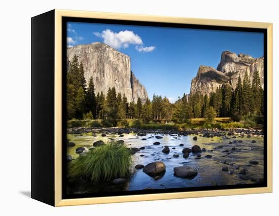 California, the Merced River, El Capitan, and Cathedral Rocks in Yosemite Valley-Ann Collins-Framed Premier Image Canvas