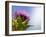 California Thistle, Cirsium Arvense, Lafayette Reservoir, Lafayette, California, Usa-Paul Colangelo-Framed Photographic Print