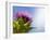 California Thistle, Cirsium Arvense, Lafayette Reservoir, Lafayette, California, Usa-Paul Colangelo-Framed Photographic Print