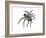 California Trapdoor Spider (Bothriocyrtum Californicum), Arachnids-Encyclopaedia Britannica-Framed Art Print