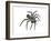 California Trapdoor Spider (Bothriocyrtum Californicum), Arachnids-Encyclopaedia Britannica-Framed Art Print