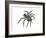 California Trapdoor Spider (Bothriocyrtum Californicum), Arachnids-Encyclopaedia Britannica-Framed Art Print