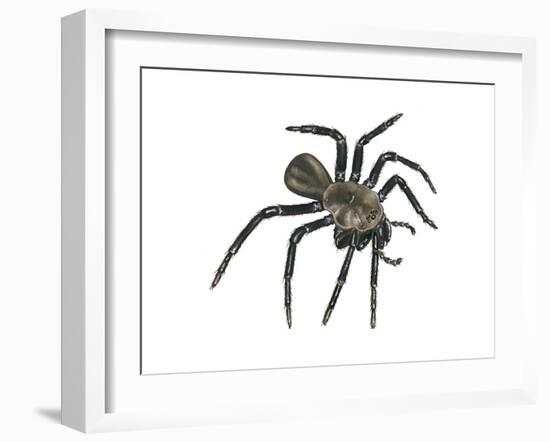 California Trapdoor Spider (Bothriocyrtum Californicum), Arachnids-Encyclopaedia Britannica-Framed Art Print