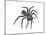 California Trapdoor Spider (Bothriocyrtum Californicum), Arachnids-Encyclopaedia Britannica-Mounted Art Print