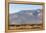 California, USA: A Huge Onshore Wind Farm Near Palm Springs / Desert Hot Springs-Axel Brunst-Framed Premier Image Canvas