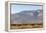 California, USA: A Huge Onshore Wind Farm Near Palm Springs / Desert Hot Springs-Axel Brunst-Framed Premier Image Canvas