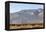 California, USA: A Huge Onshore Wind Farm Near Palm Springs / Desert Hot Springs-Axel Brunst-Framed Premier Image Canvas