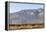 California, USA: A Huge Onshore Wind Farm Near Palm Springs / Desert Hot Springs-Axel Brunst-Framed Premier Image Canvas